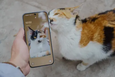 ΜπετΚαρτ Καζίνο Κινητη εφαρμογη